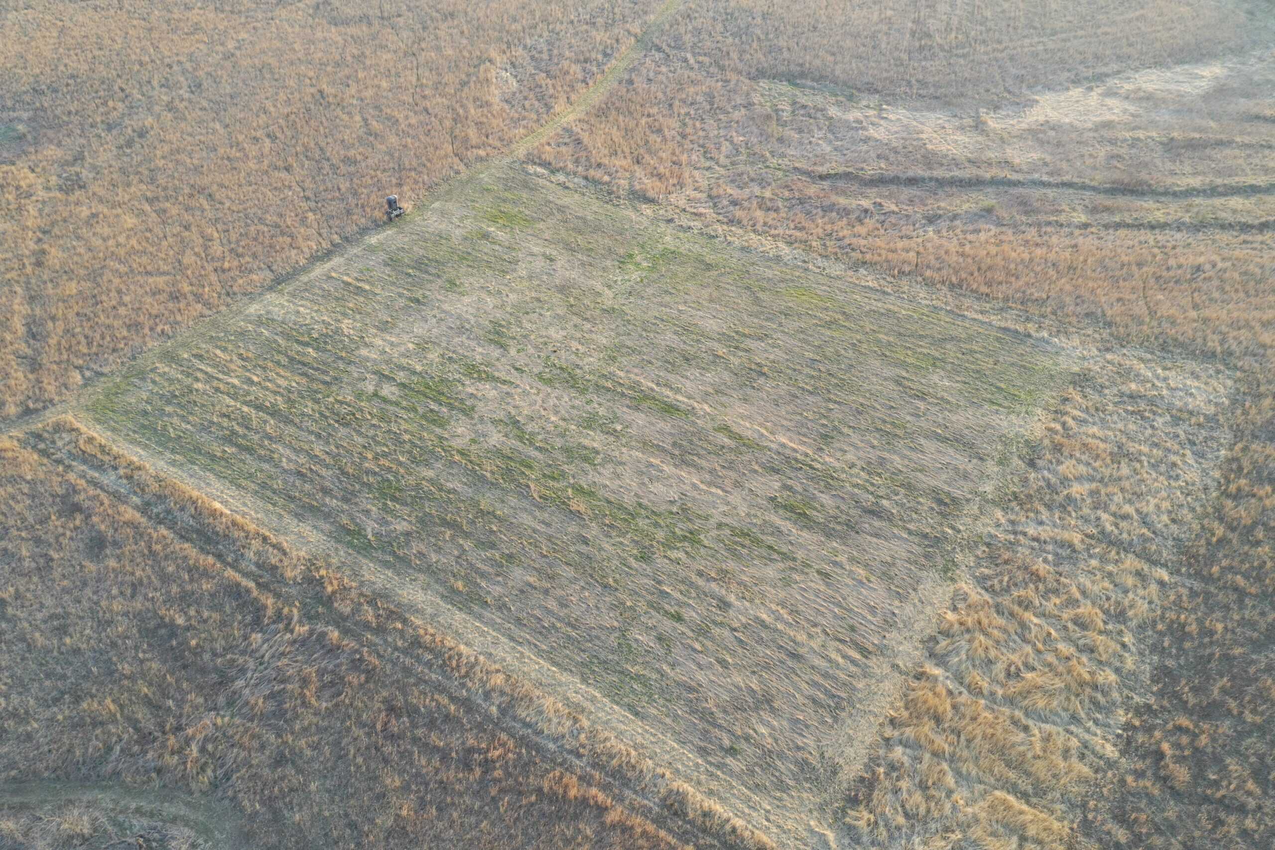 318 Acres m/l – Iowa Hunting & CRP Income Farm