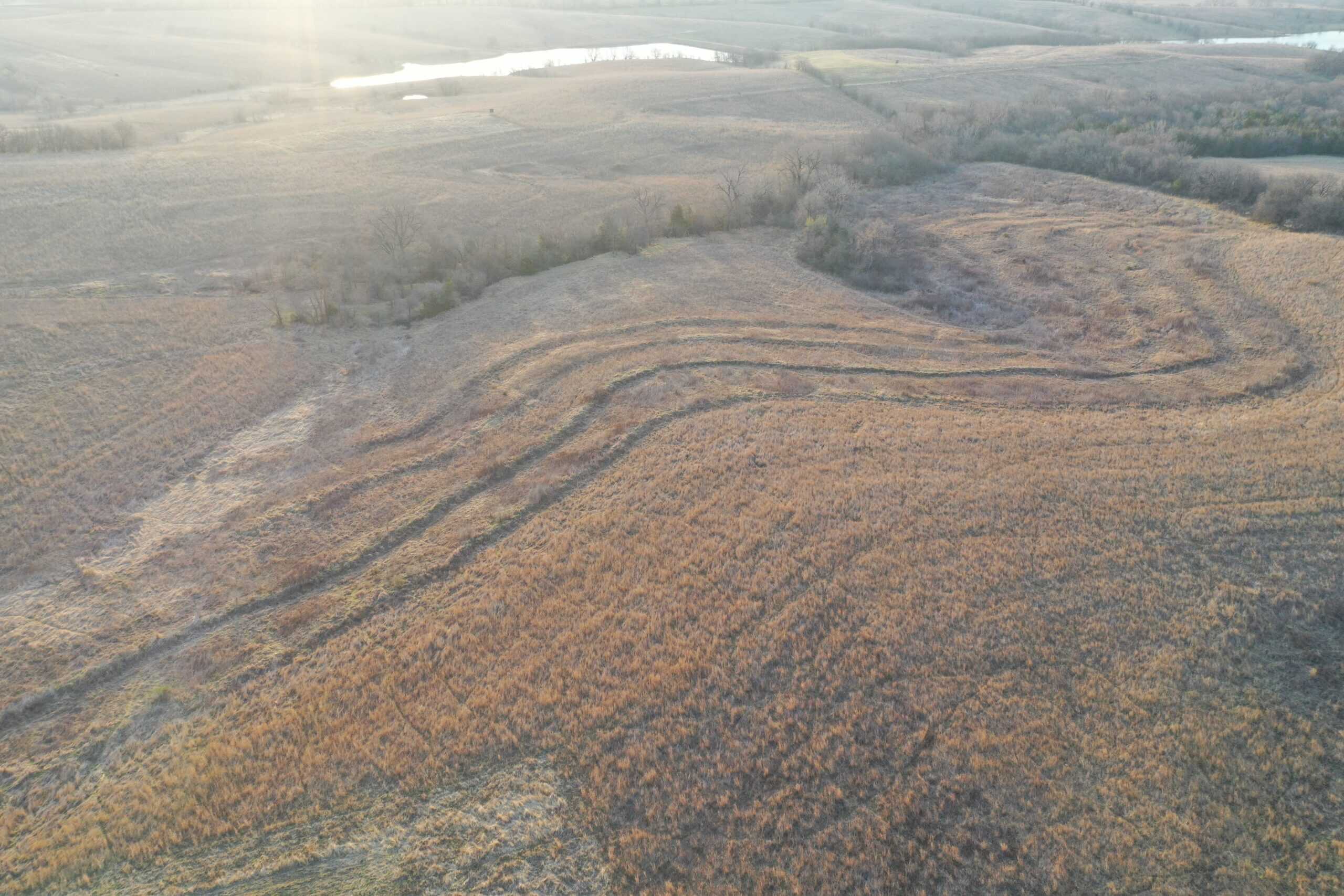 318 Acres m/l – Iowa Hunting & CRP Income Farm