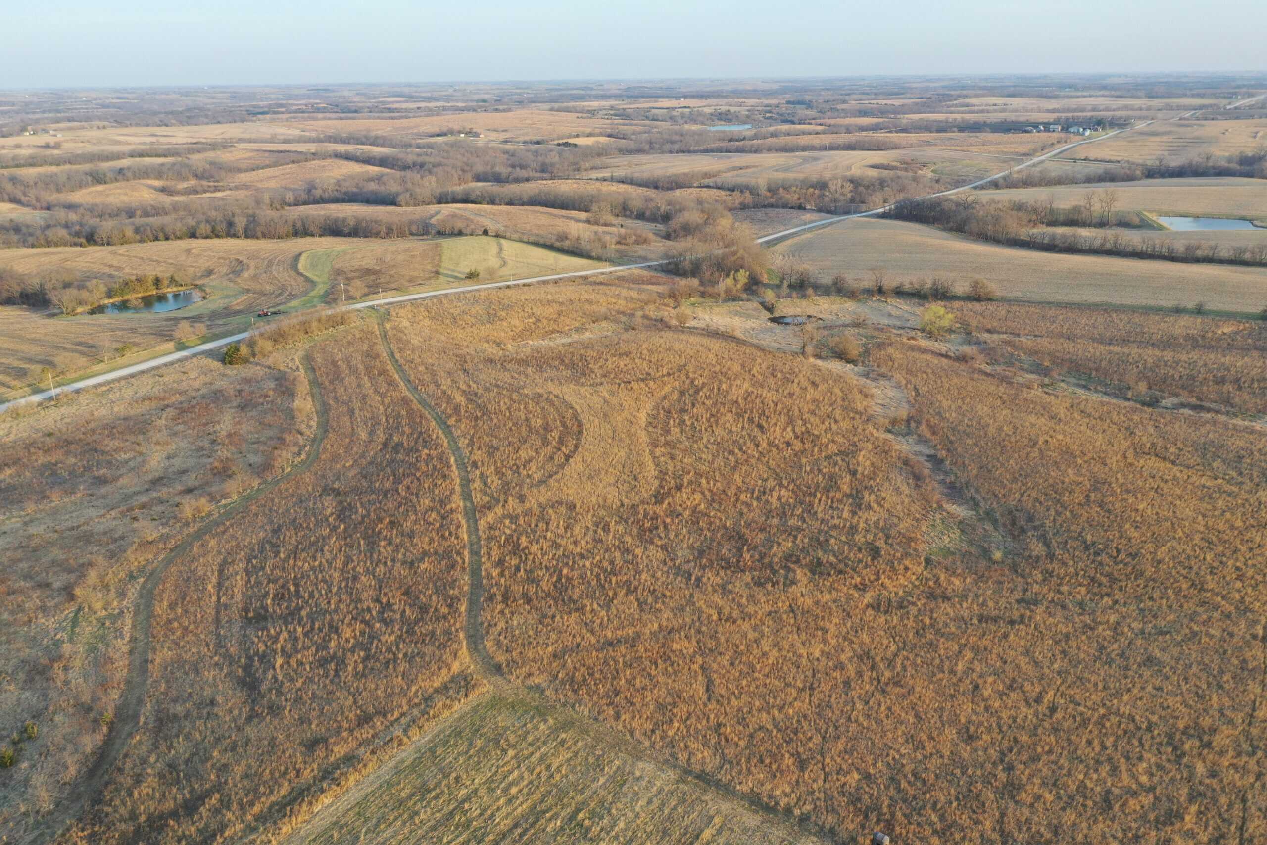 318 Acres m/l – Iowa Hunting & CRP Income Farm