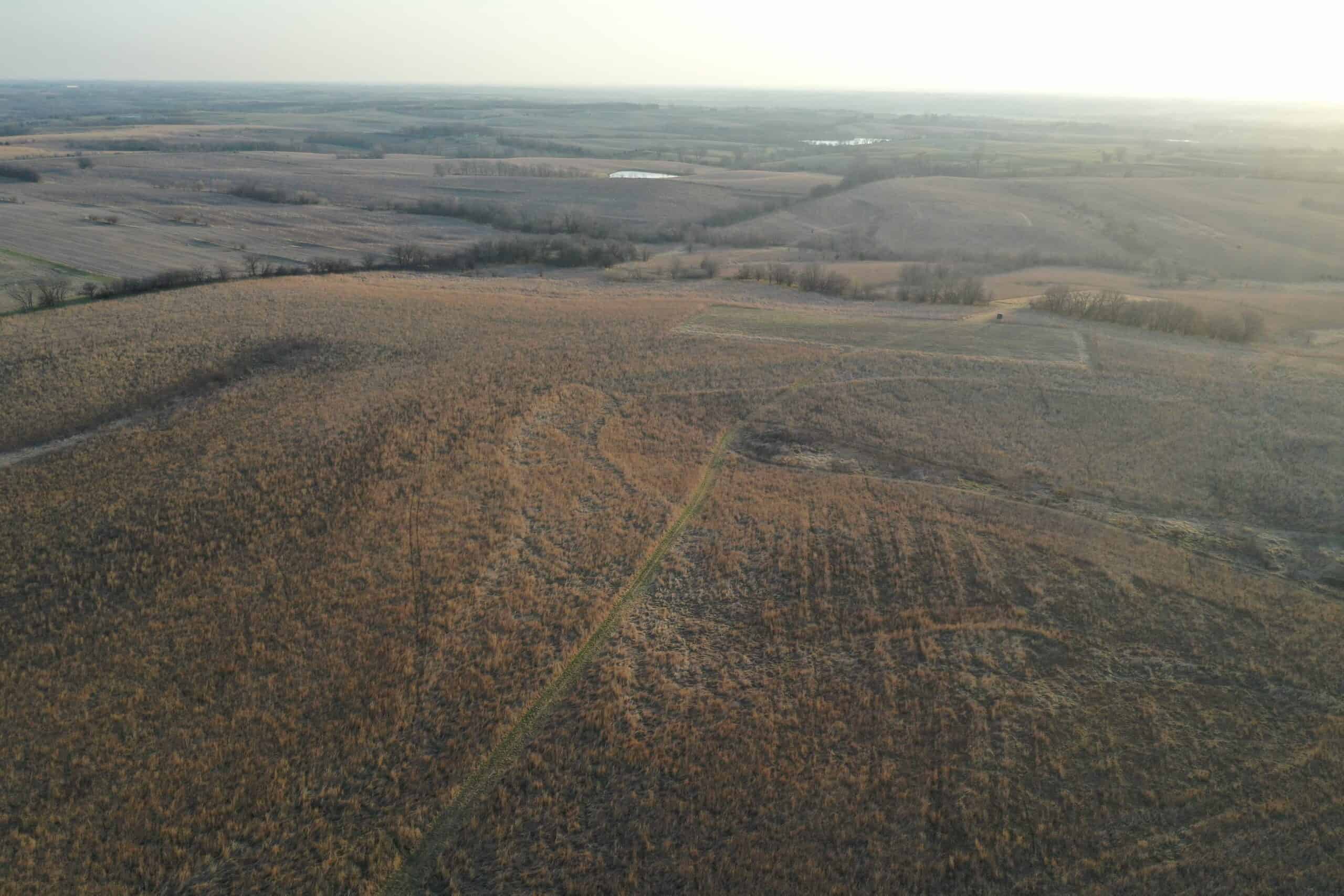 318 Acres m/l – Iowa Hunting & CRP Income Farm