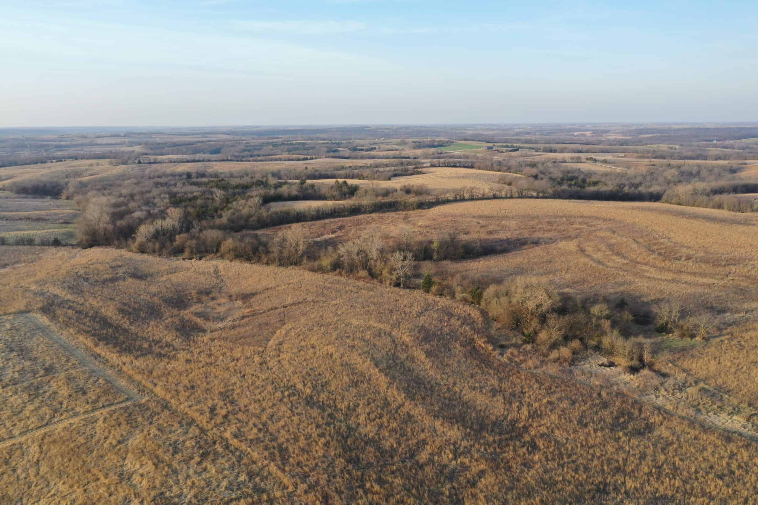 318 Acres m/l – Iowa Hunting & CRP Income Farm