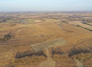 318 Acres m/l – Iowa Hunting & CRP Income Farm