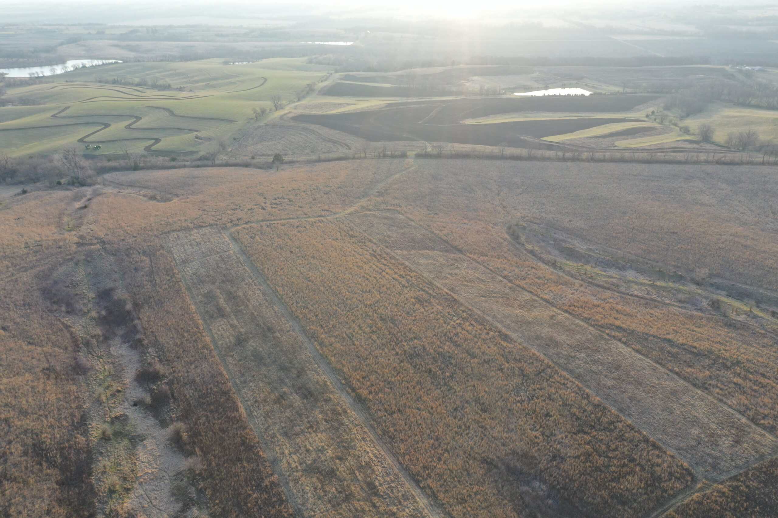 318 Acres m/l – Iowa Hunting & CRP Income Farm