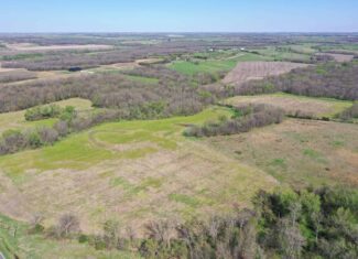 Hunting, Row Crop & CRP near Eagleville, MO