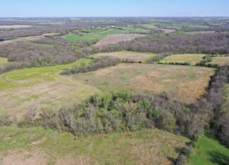 Hunting, Row Crop & CRP near Eagleville, MO