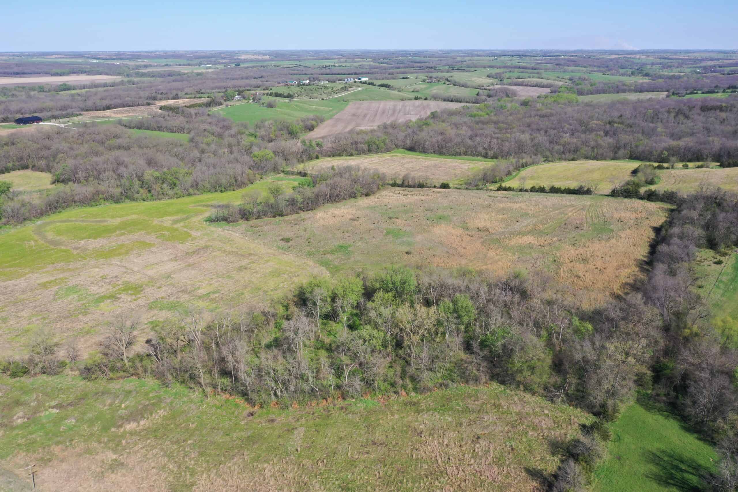 Hunting, Row Crop & CRP near Eagleville, MO