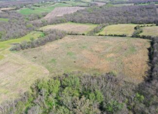 Hunting, Row Crop & CRP near Eagleville, MO