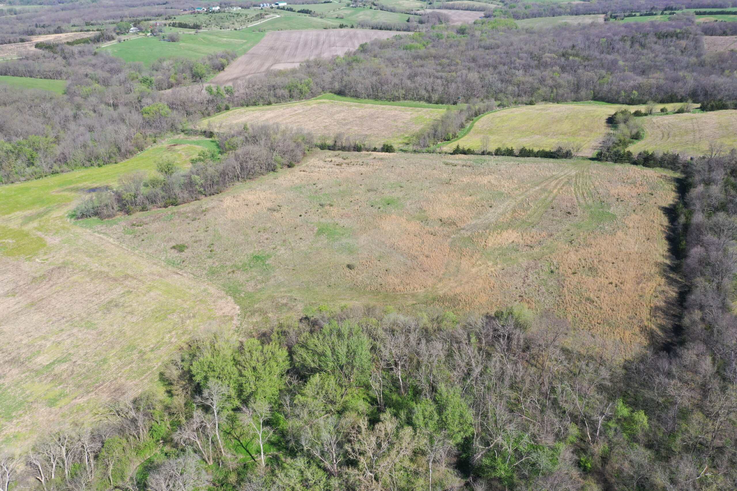 Hunting, Row Crop & CRP near Eagleville, MO