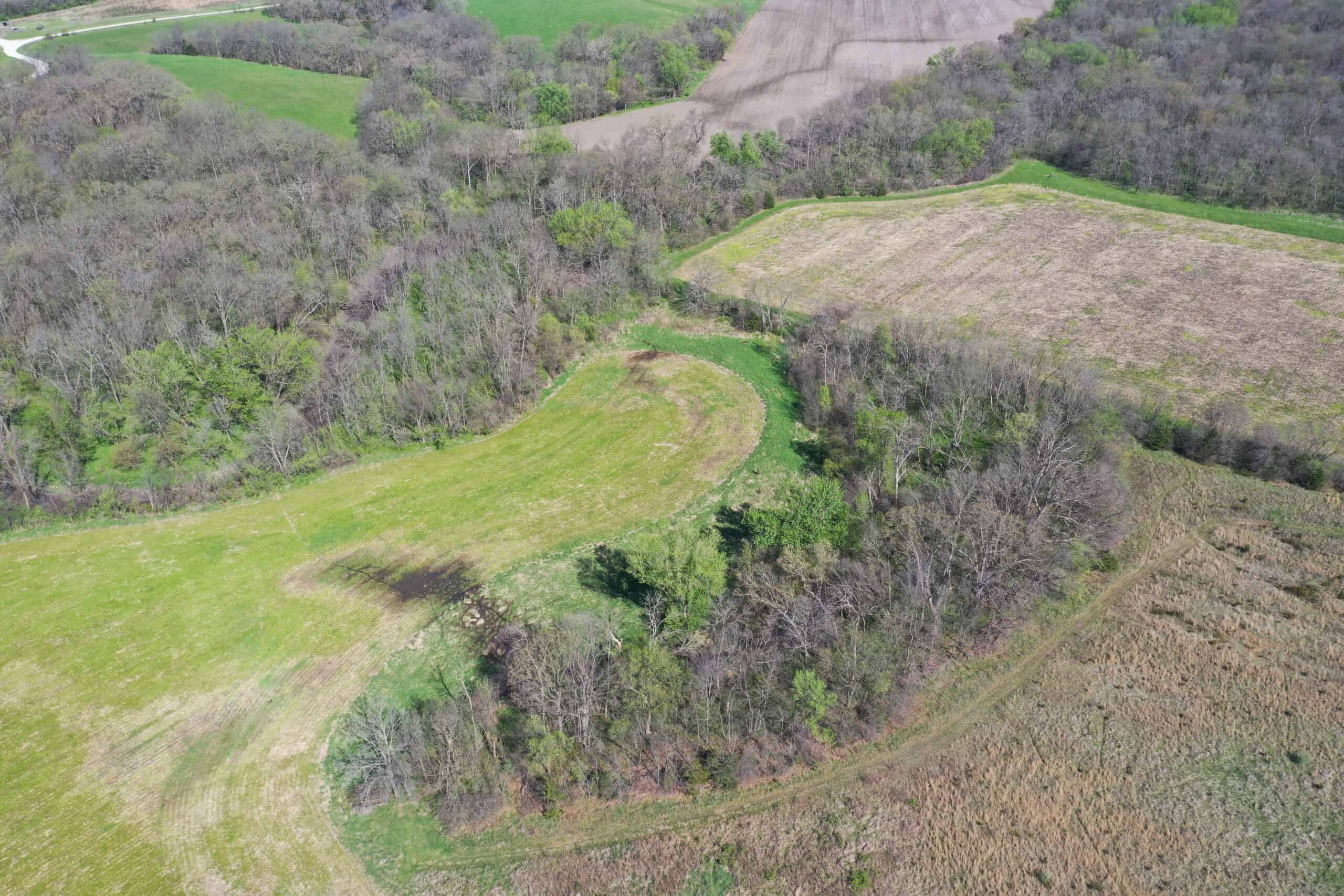 Hunting, Row Crop & CRP near Eagleville, MO
