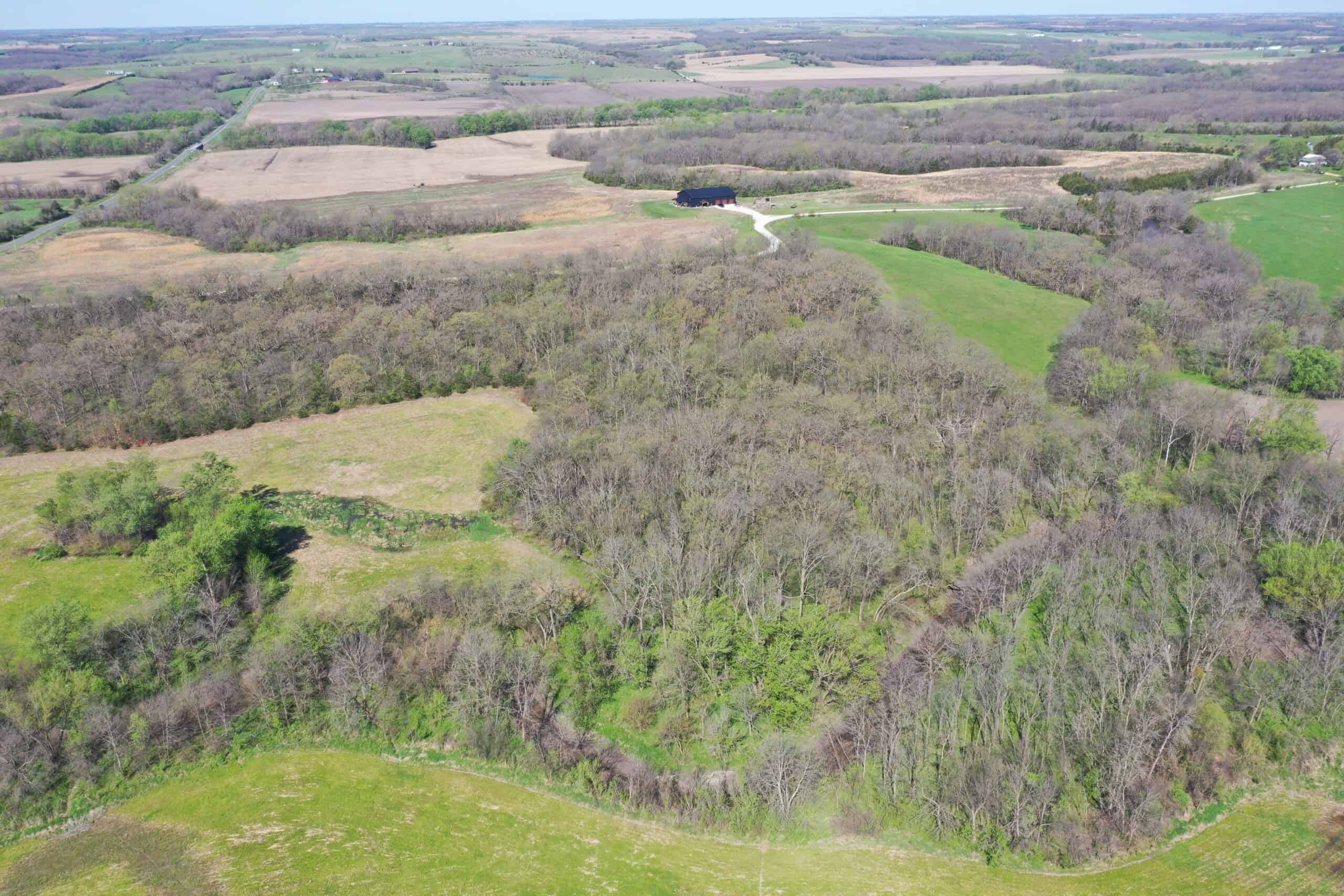 Hunting, Row Crop & CRP near Eagleville, MO