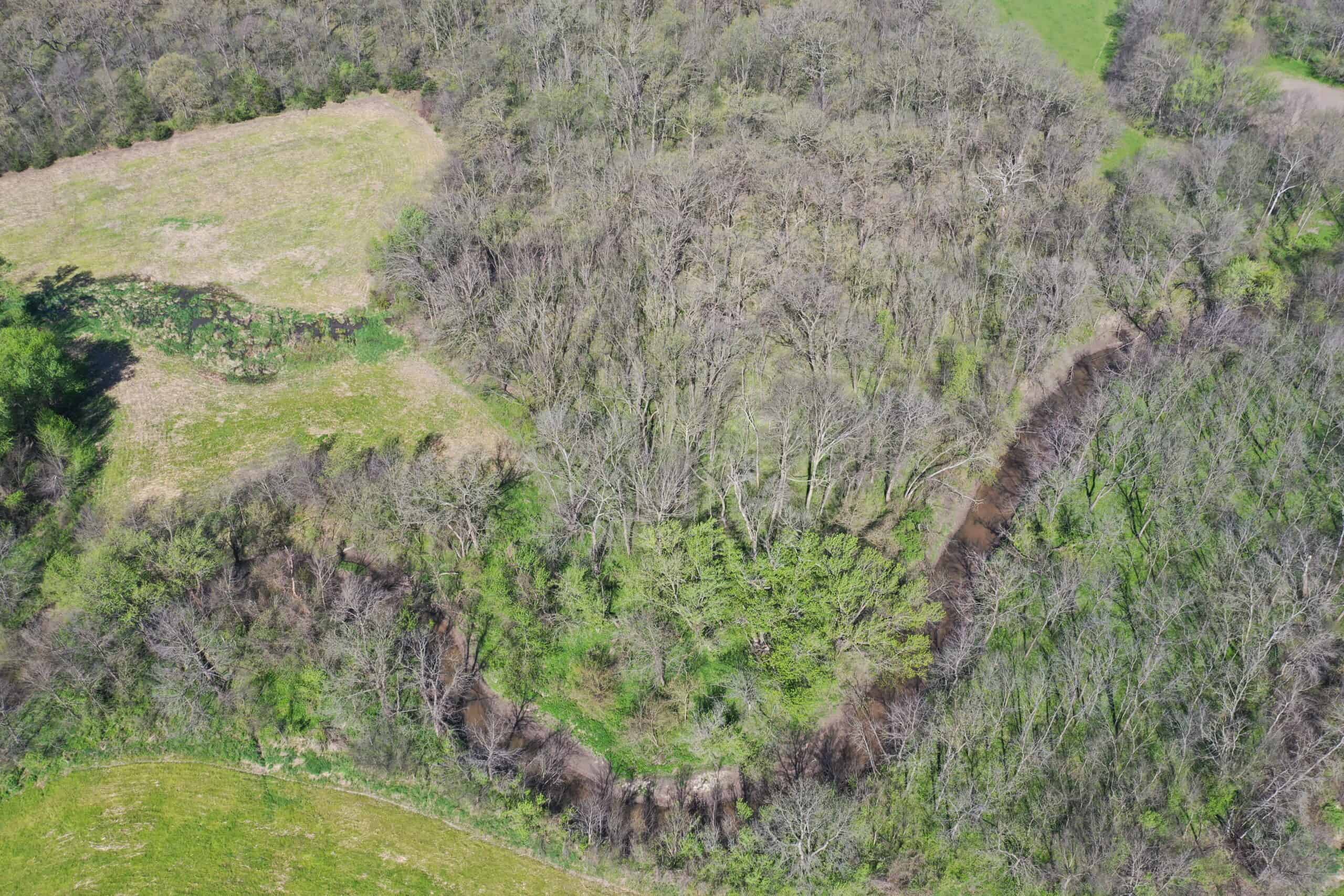Hunting, Row Crop & CRP near Eagleville, MO