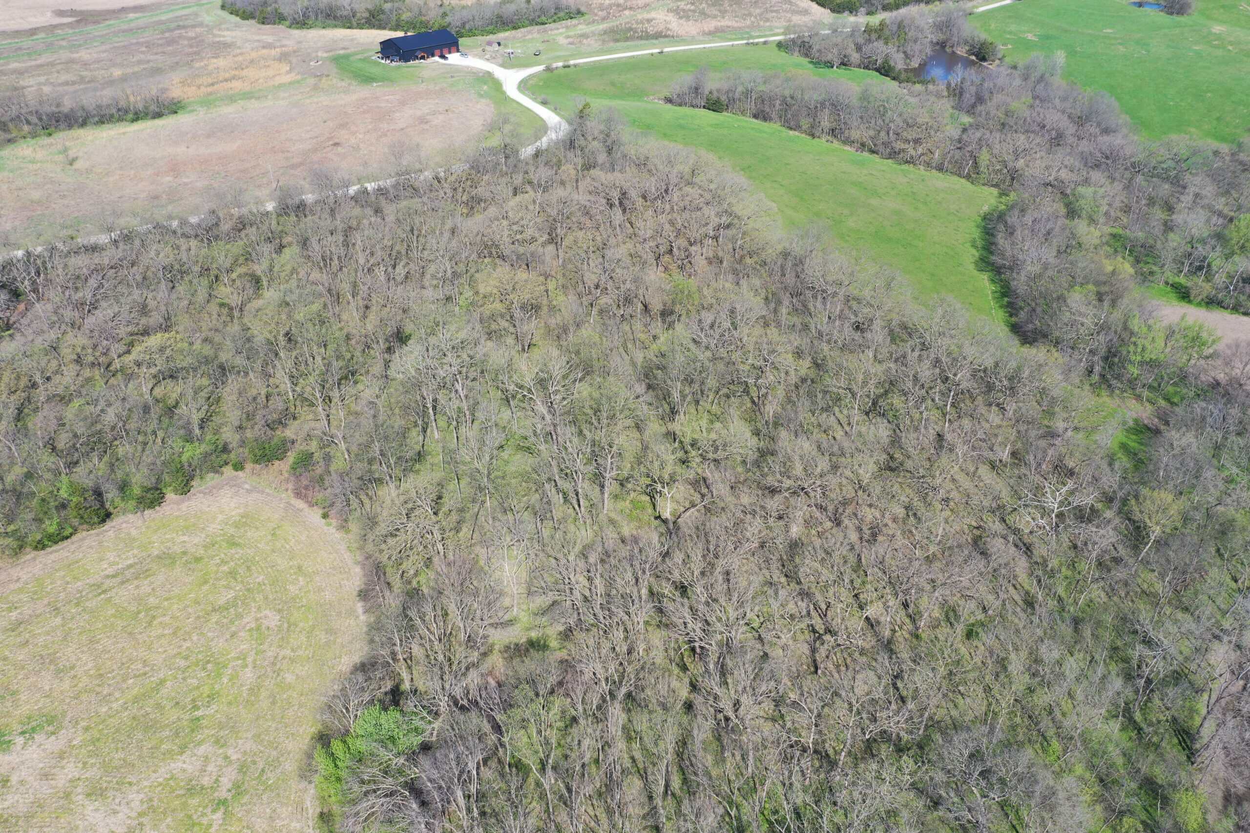 Hunting, Row Crop & CRP near Eagleville, MO