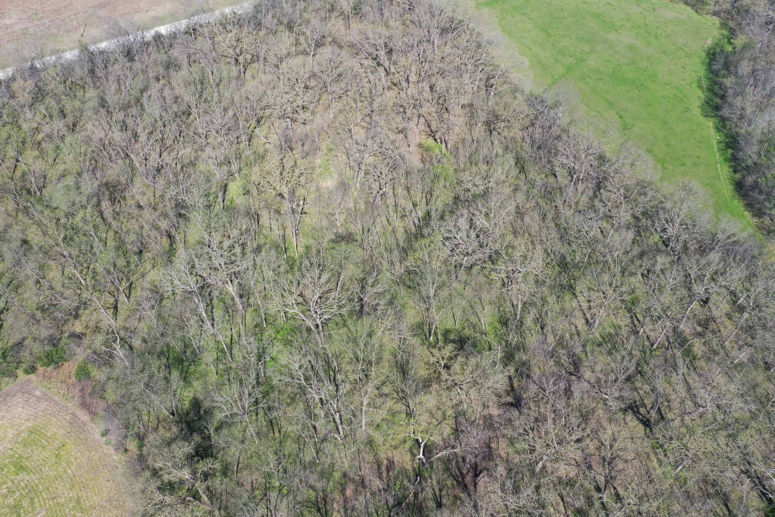Hunting, Row Crop & CRP near Eagleville, MO