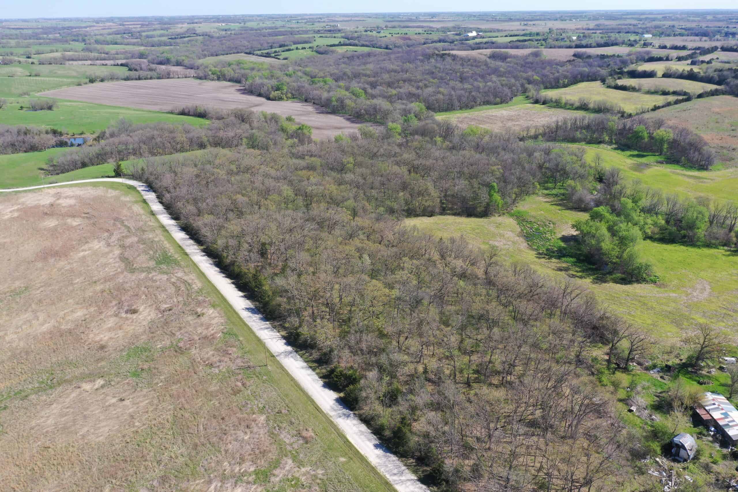 Hunting, Row Crop & CRP near Eagleville, MO
