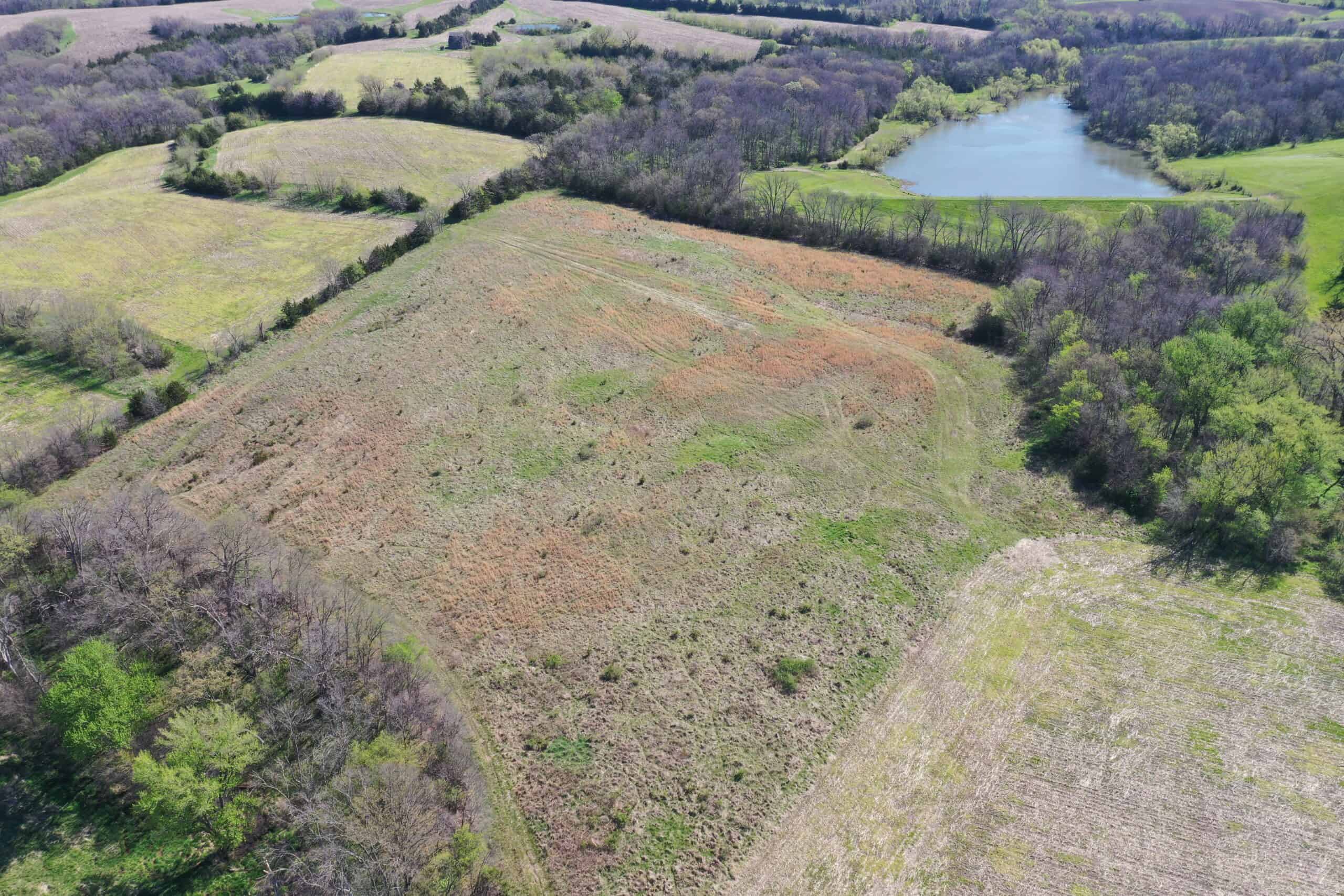 Hunting, Row Crop & CRP near Eagleville, MO