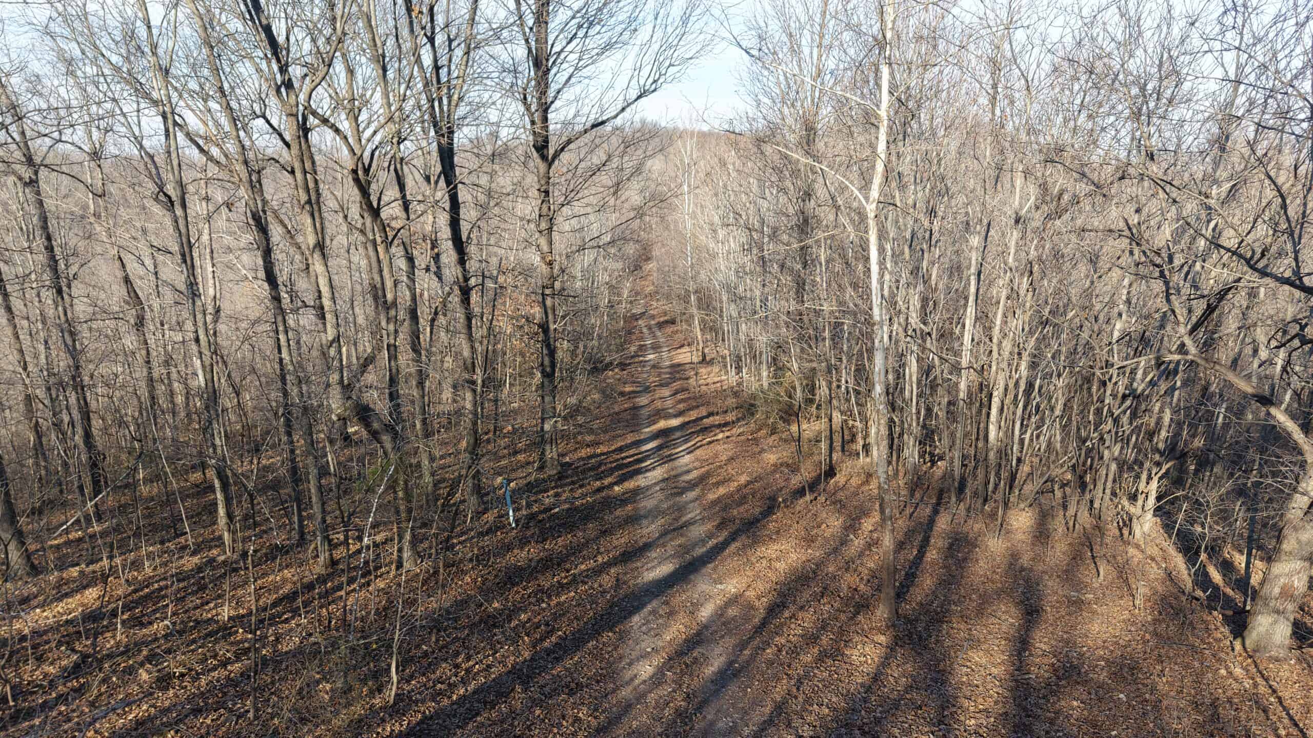 FOREST LAND AND OFF GRID CABIN FOR SALE IN OZARK MOUNTAINS