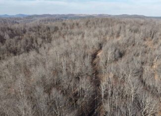 FOREST LAND AND OFF GRID CABIN FOR SALE IN OZARK MOUNTAINS