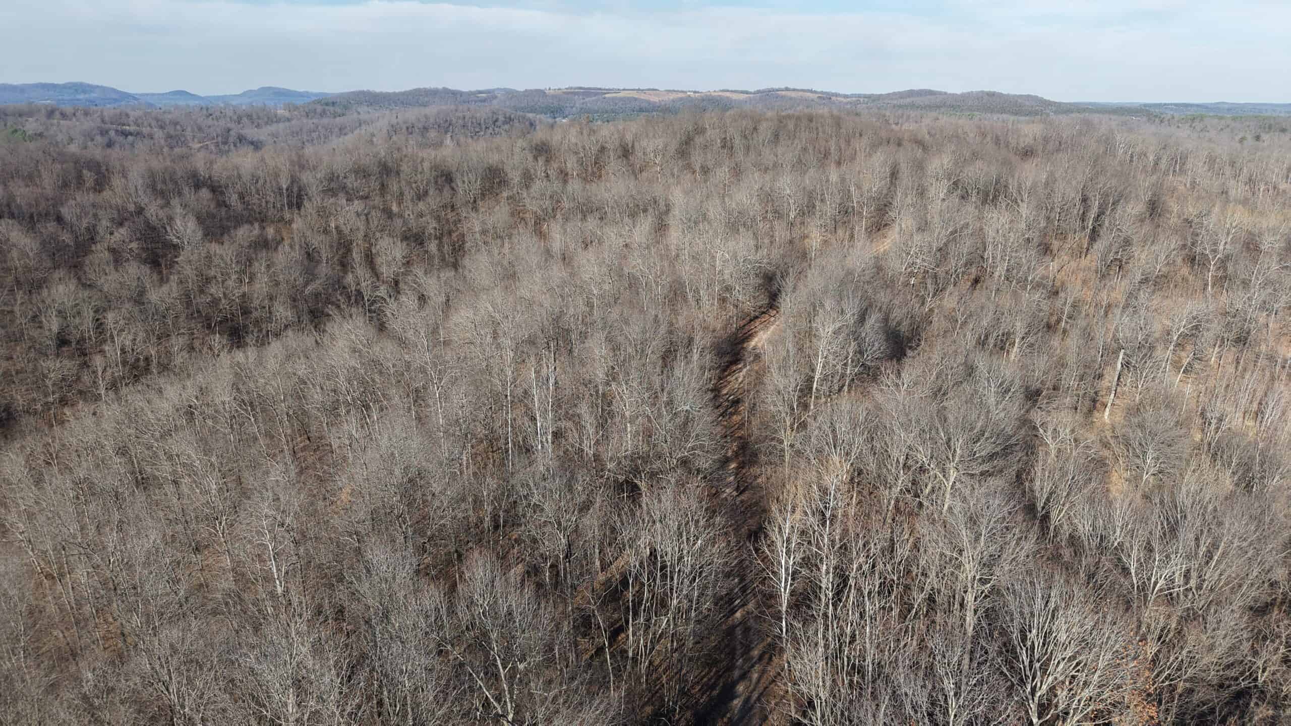 FOREST LAND AND OFF GRID CABIN FOR SALE IN OZARK MOUNTAINS