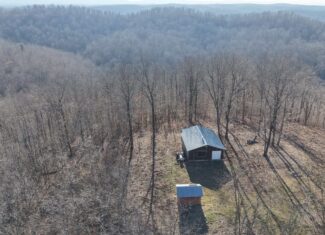 FOREST LAND AND OFF GRID CABIN FOR SALE IN OZARK MOUNTAINS