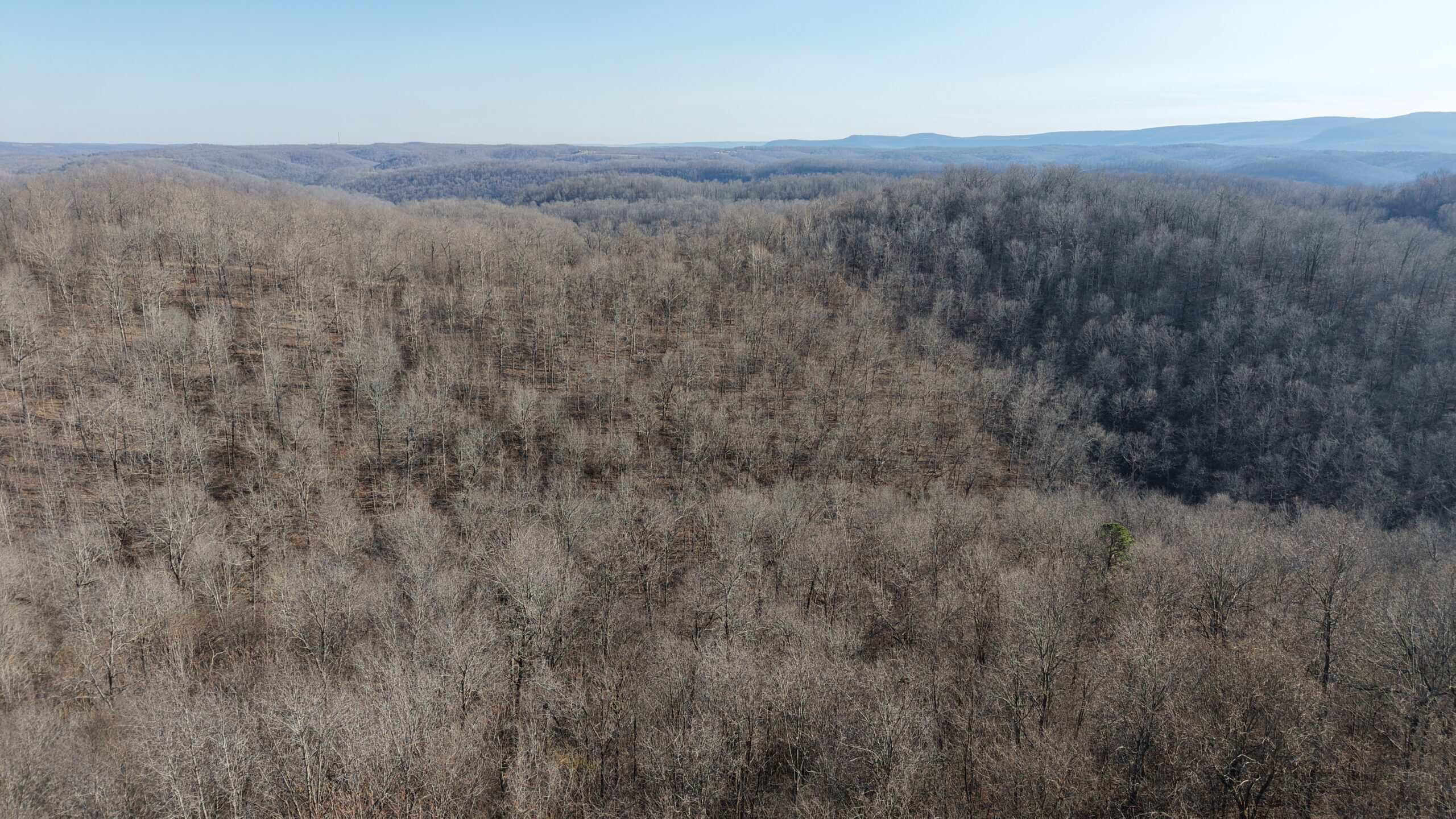 FOREST LAND AND OFF GRID CABIN FOR SALE IN OZARK MOUNTAINS