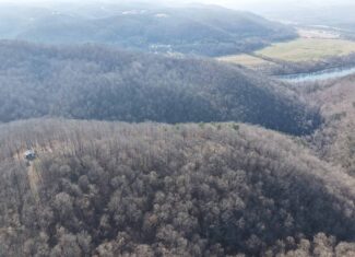 FOREST LAND AND OFF GRID CABIN FOR SALE IN OZARK MOUNTAINS
