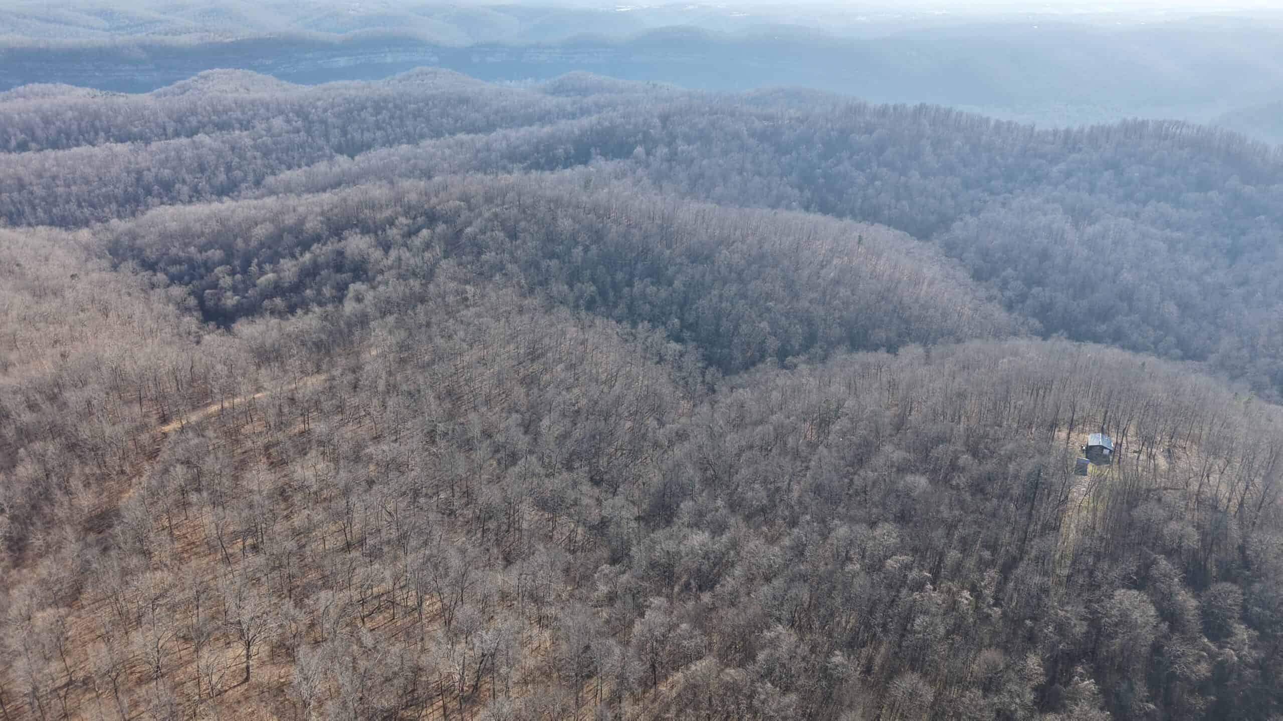 FOREST LAND AND OFF GRID CABIN FOR SALE IN OZARK MOUNTAINS