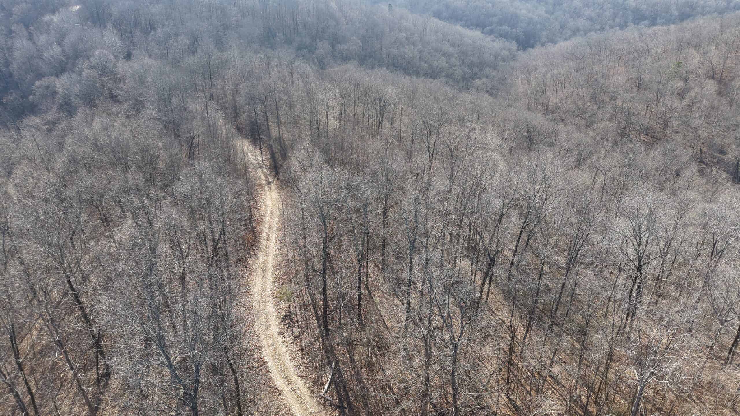 FOREST LAND AND OFF GRID CABIN FOR SALE IN OZARK MOUNTAINS