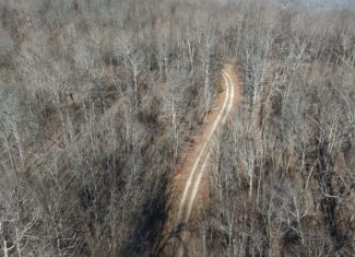 FOREST LAND AND OFF GRID CABIN FOR SALE IN OZARK MOUNTAINS