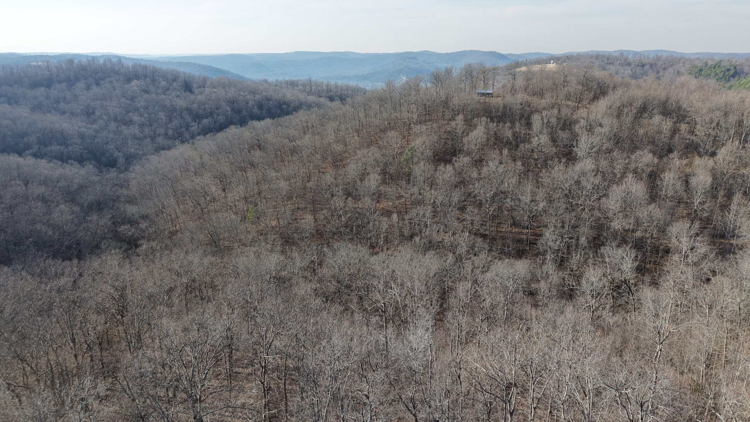 FOREST LAND AND OFF GRID CABIN FOR SALE IN OZARK MOUNTAINS