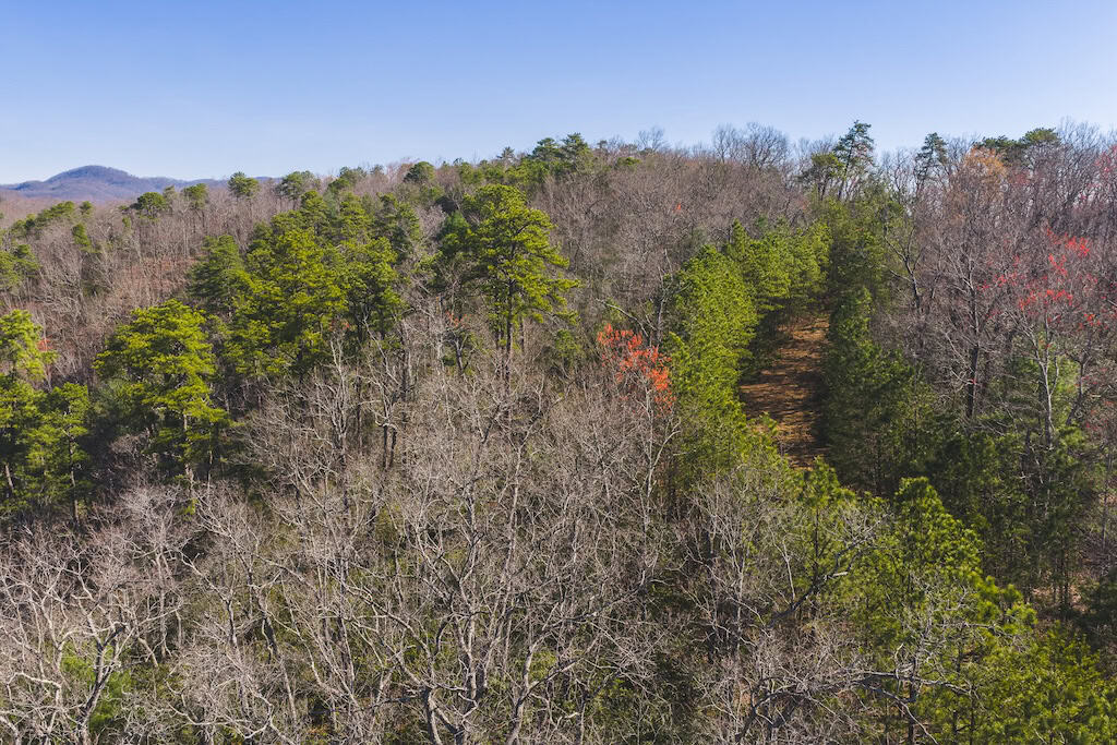 Acreage for Sale Adjoining Primland Resort