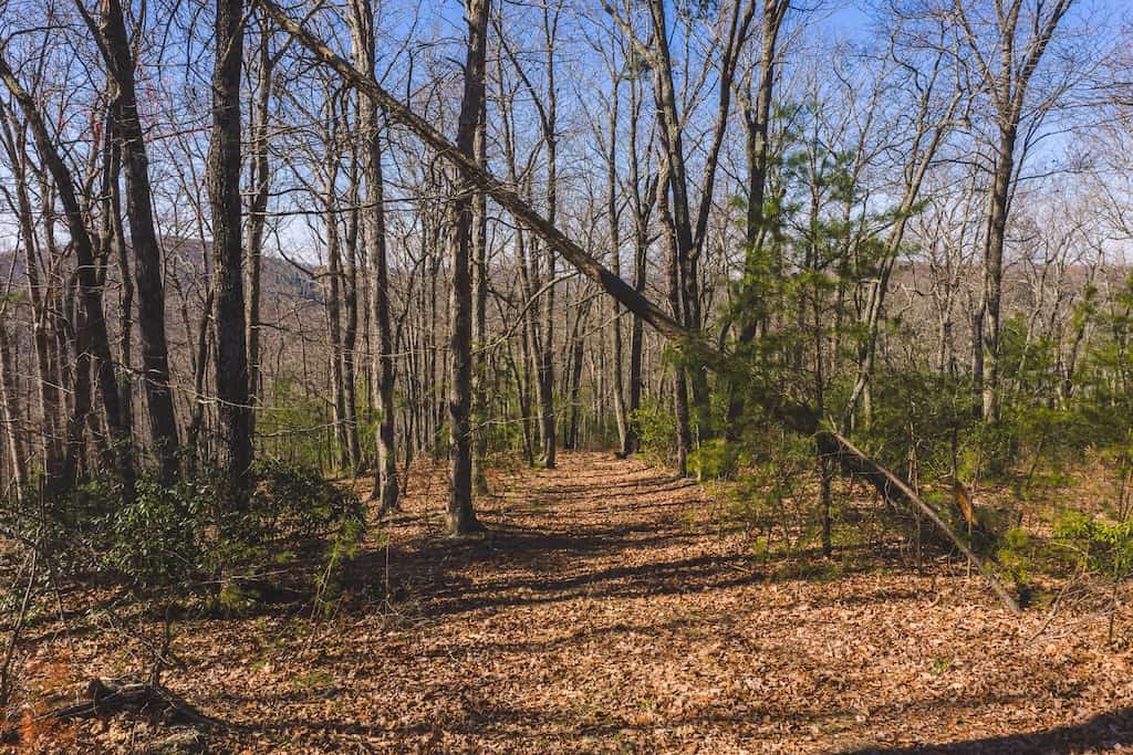 Acreage for Sale Adjoining Primland Resort