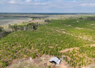36-acre tract with multiple access points & natural features on New Forrest
