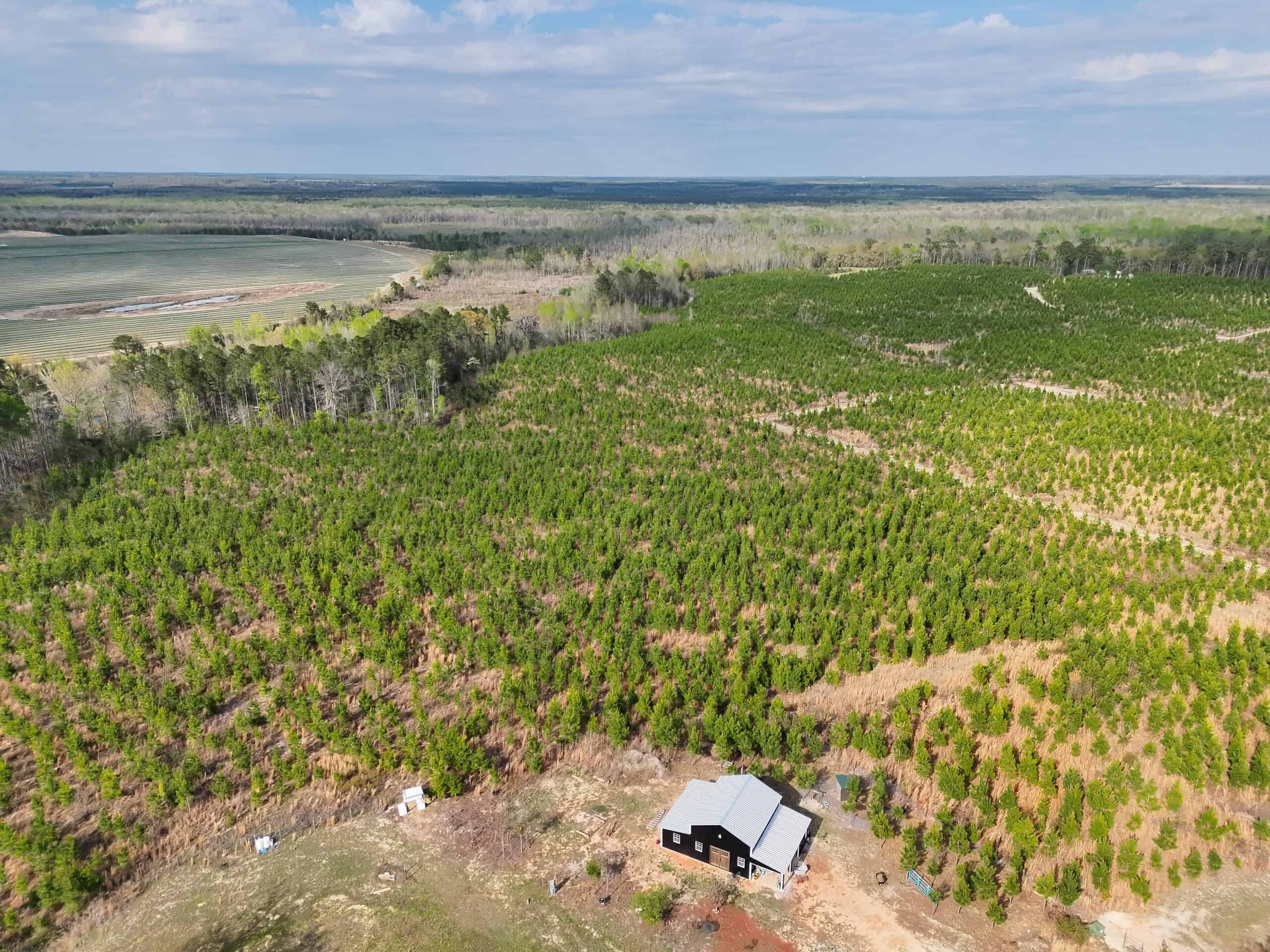36-acre tract with multiple access points & natural features on New Forrest