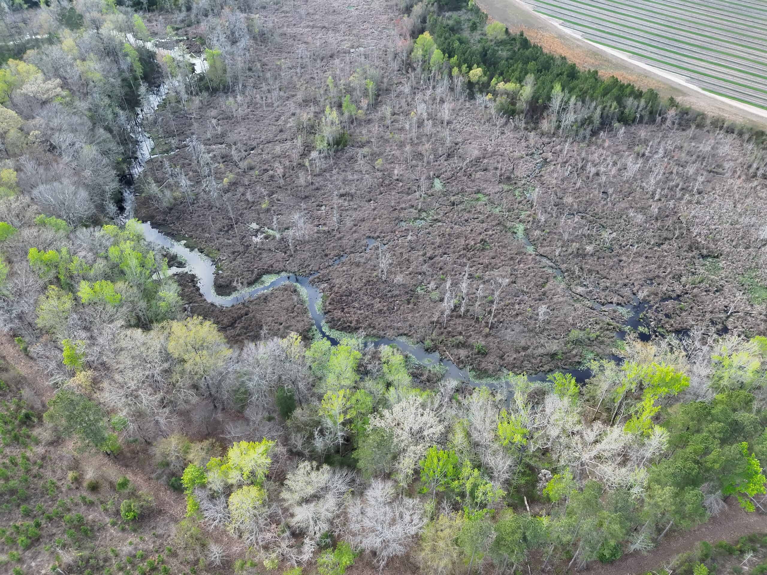 36-acre tract with multiple access points & natural features on New Forrest