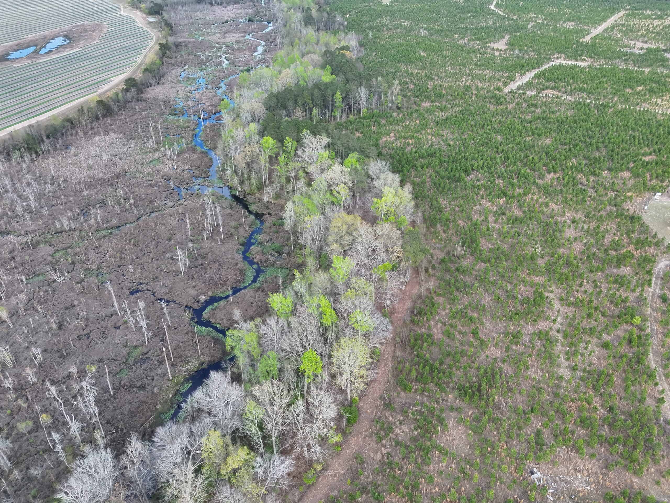 36-acre tract with multiple access points & natural features on New Forrest