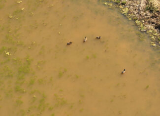 105 Se 40 Th Rd, Lamar, MO, 64759