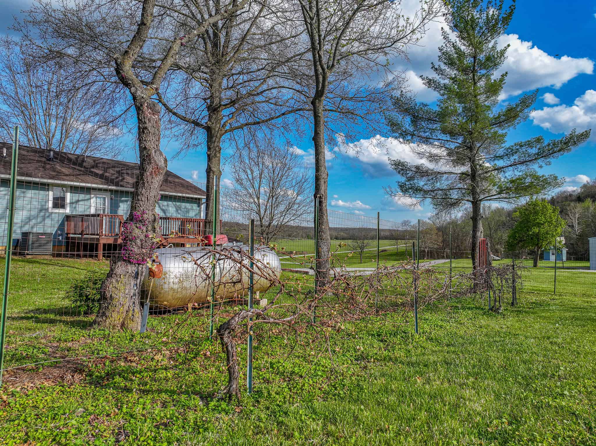 Home on acreage for sale Collins MO