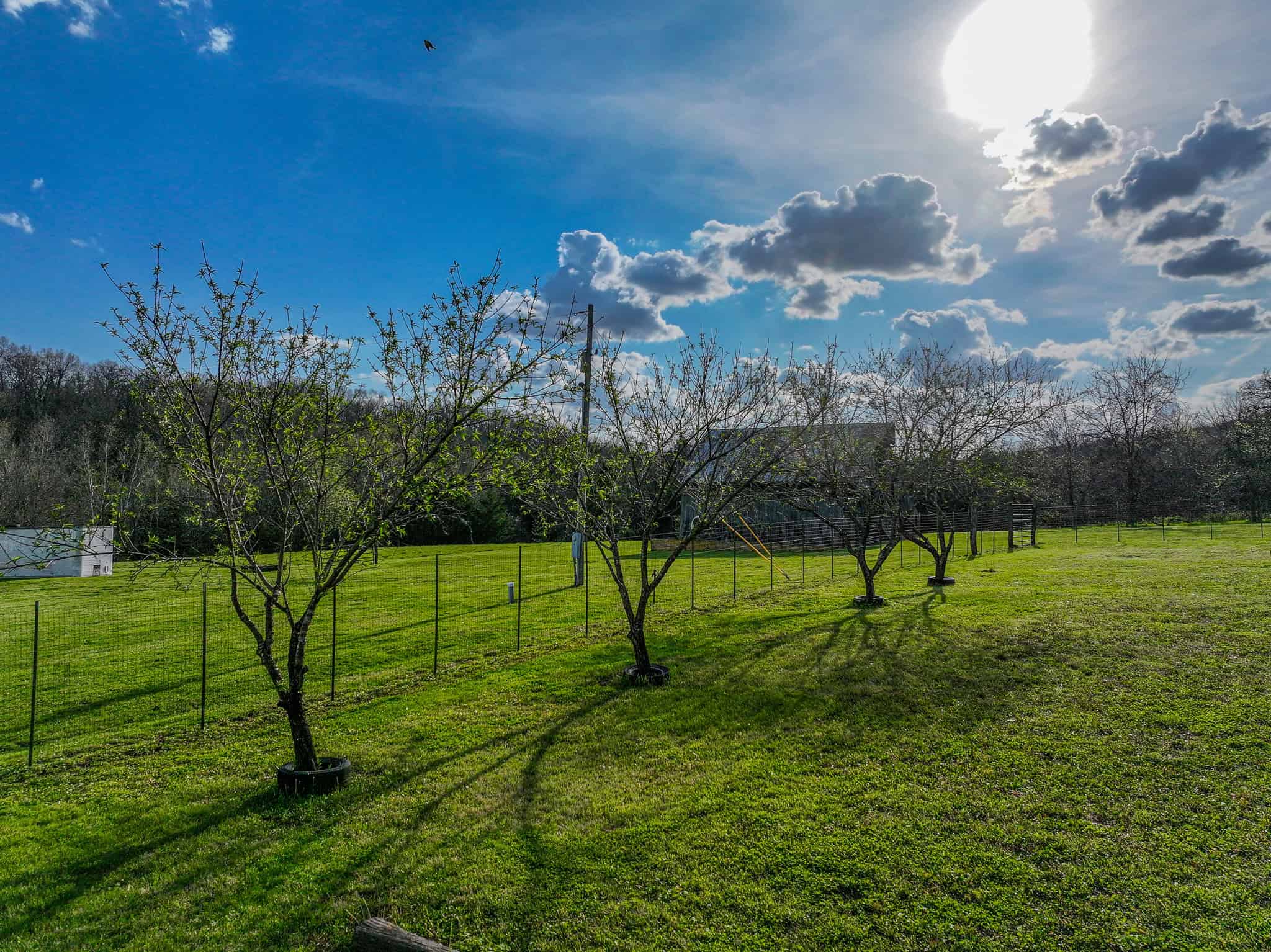 Home on acreage for sale Collins MO