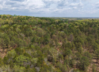 ARKANSAS BUILDING, HUNTING, AND RECREATIONAL LAND FOR SALE
