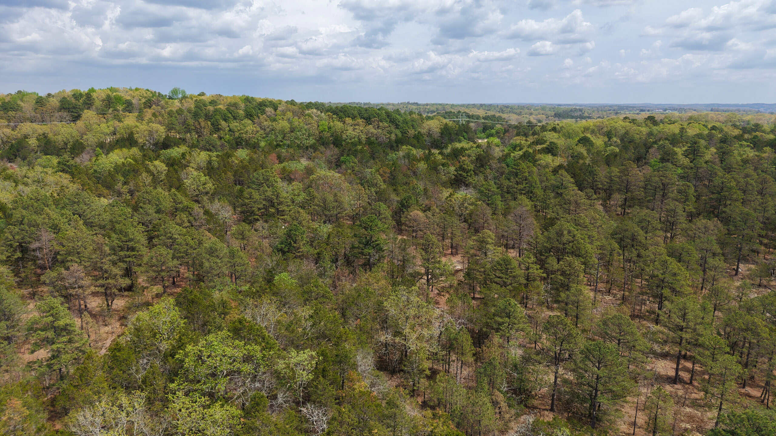 ARKANSAS BUILDING, HUNTING, AND RECREATIONAL LAND FOR SALE