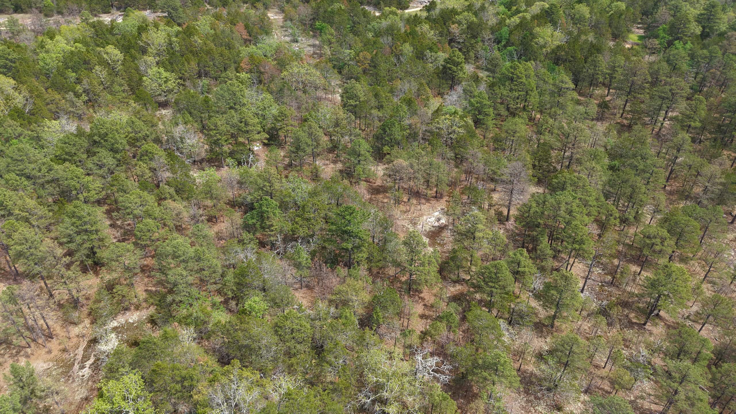 ARKANSAS BUILDING, HUNTING, AND RECREATIONAL LAND FOR SALE