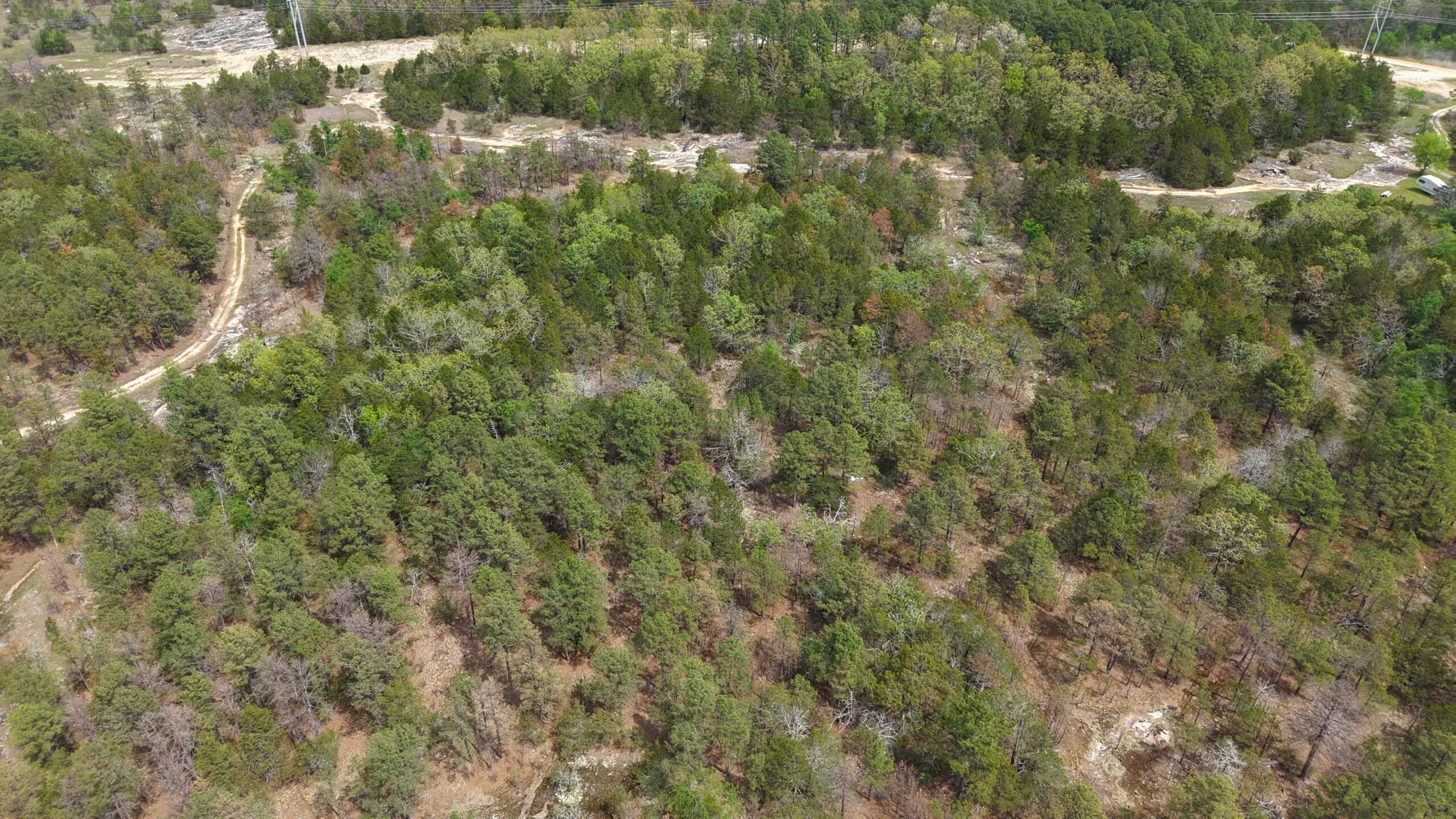 ARKANSAS BUILDING, HUNTING, AND RECREATIONAL LAND FOR SALE
