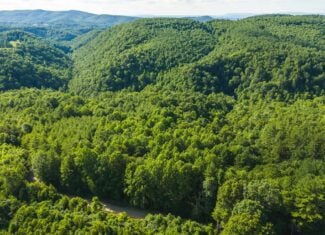 Recreational Acreage for Sale in Willis, VA!