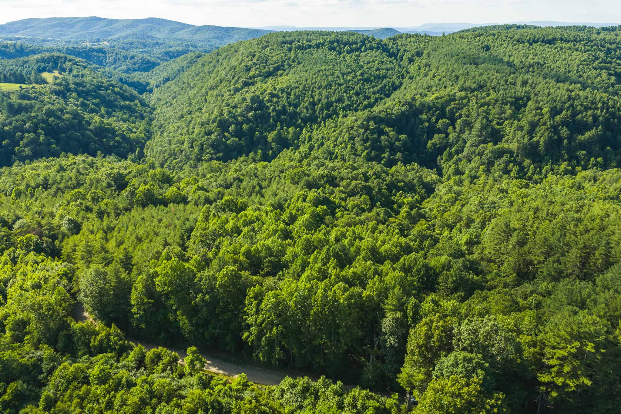 Recreational Acreage for Sale in Willis, VA!