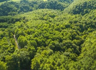 Recreational Acreage for Sale in Willis, VA!
