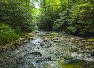 Recreational Acreage for Sale in Willis, VA!