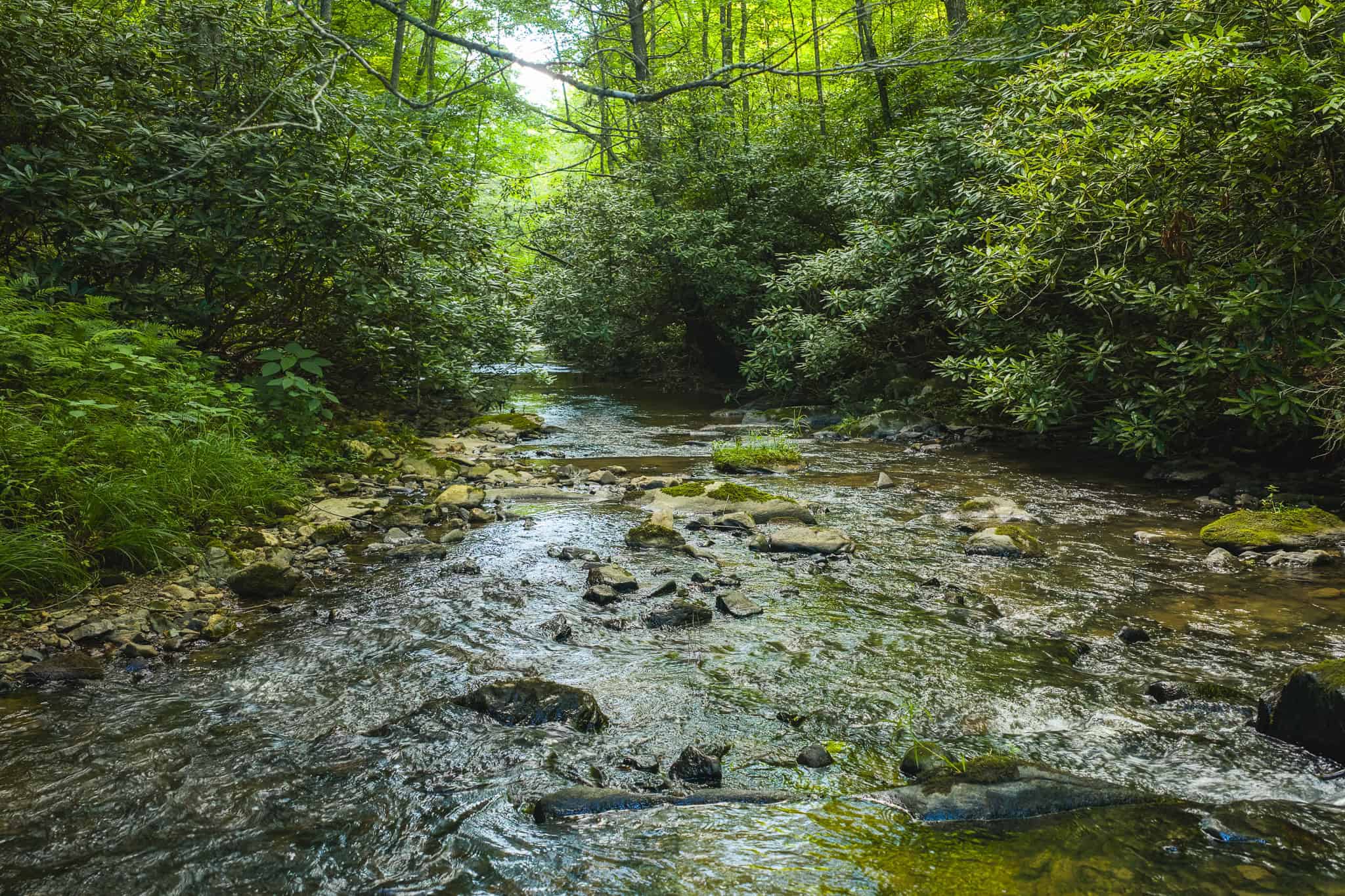 Recreational Acreage for Sale in Willis, VA!