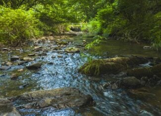 Recreational Acreage for Sale in Willis, VA!