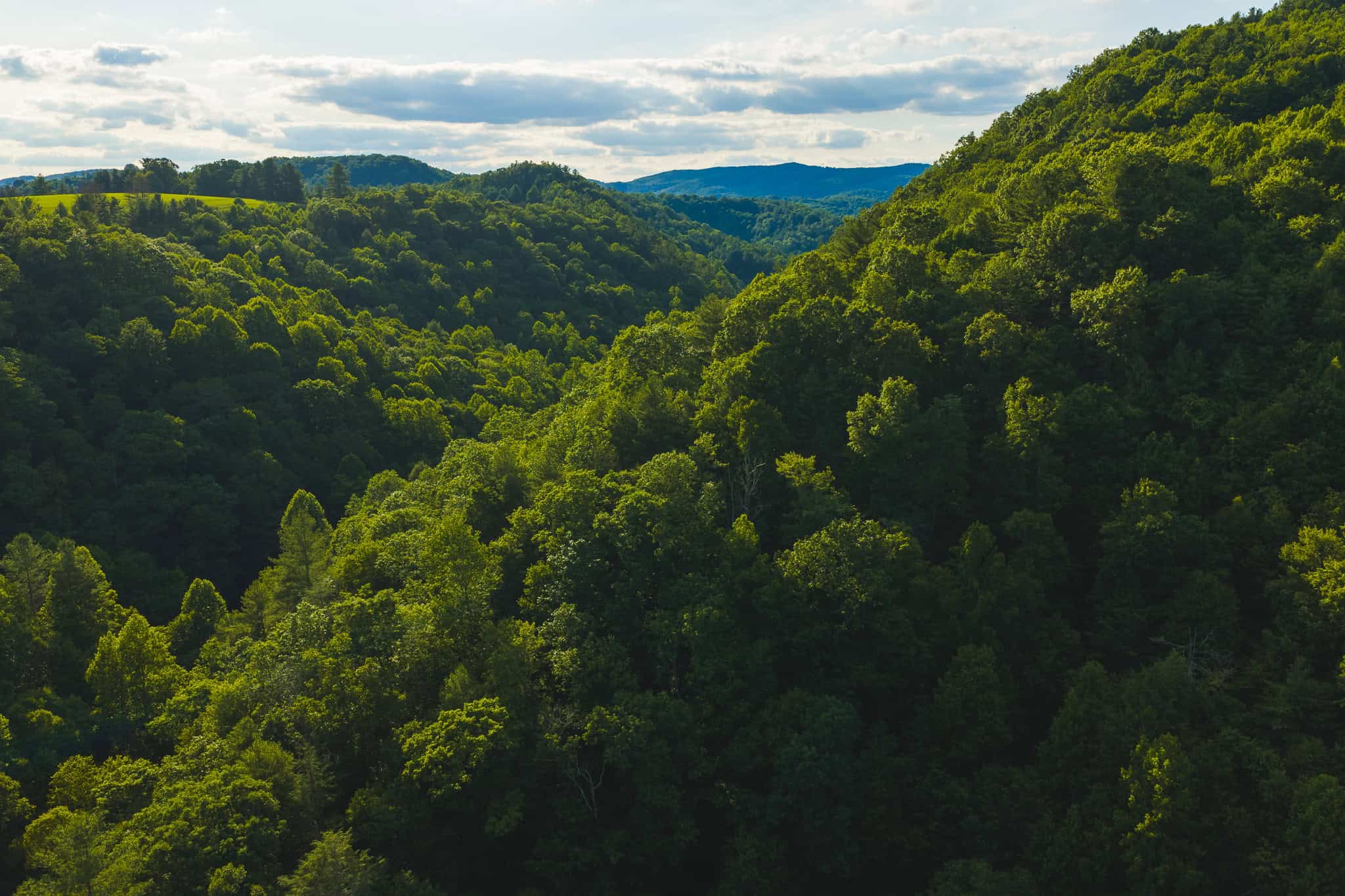 Recreational Acreage for Sale in Willis, VA!