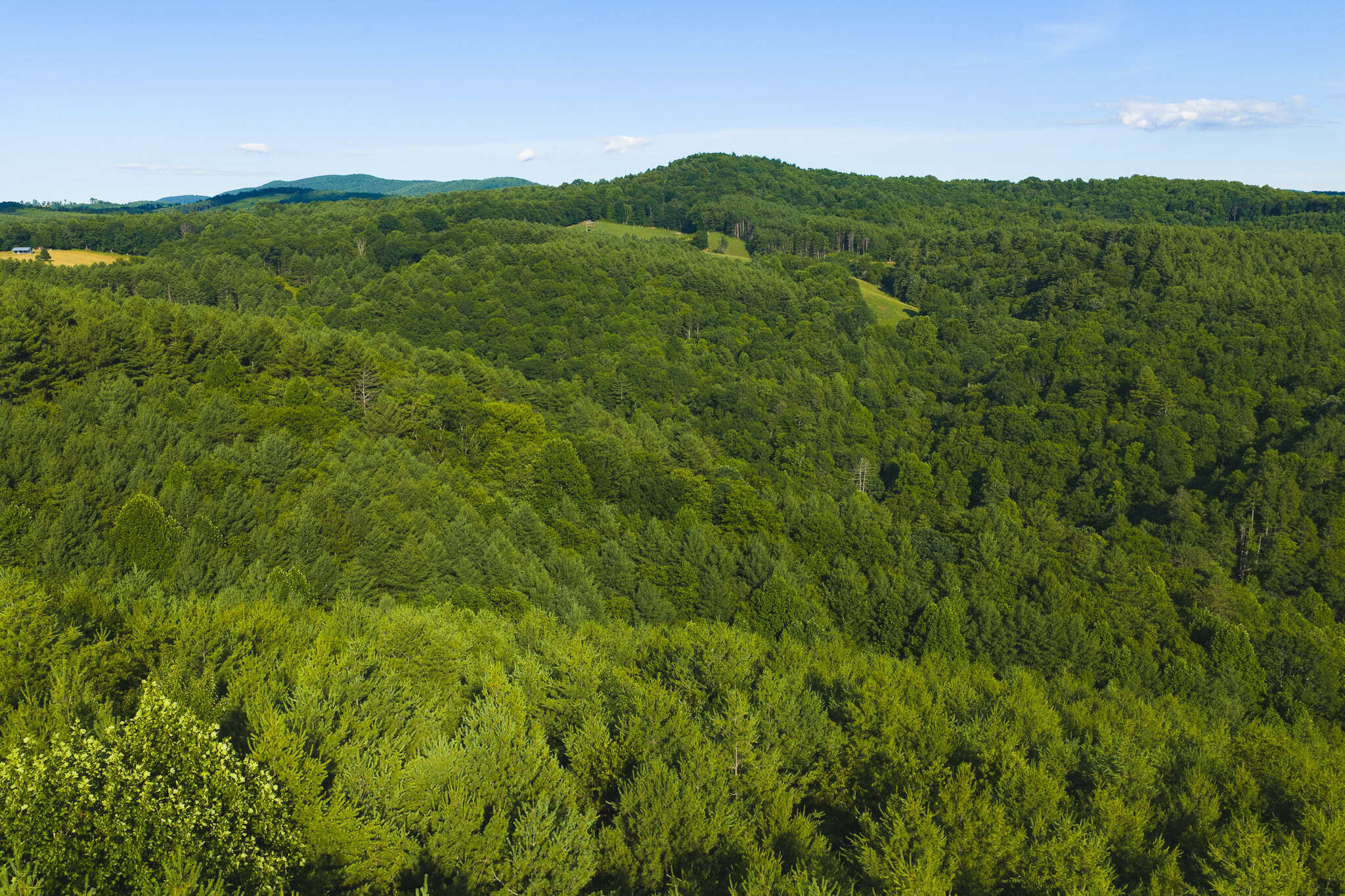 Recreational Acreage for Sale in Willis, VA!